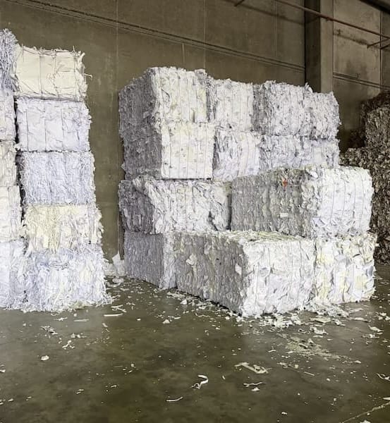 sobre nosotros patranser